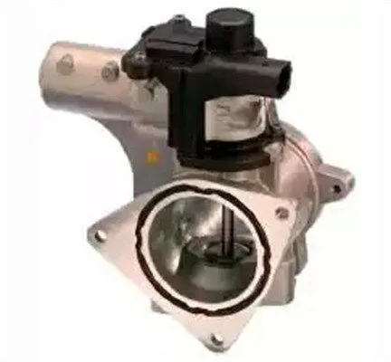 Agr-Szelep - MAGNETI MARELLI (EV154)