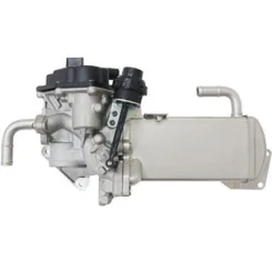 Agr-Szelep - MAGNETI MARELLI (EV157)