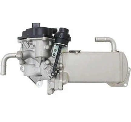 Agr-Szelep - MAGNETI MARELLI (EV157)