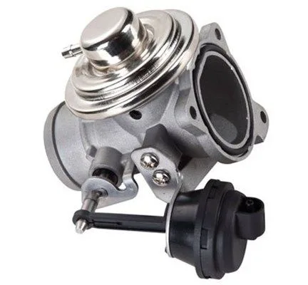 Agr-Szelep - MAGNETI MARELLI (EV076)