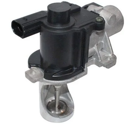 Agr-Szelep - MAGNETI MARELLI (EV079)