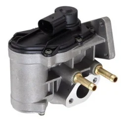 Agr-Szelep - MAGNETI MARELLI (EV077)