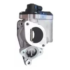 Agr-Szelep - MAGNETI MARELLI (EV140)