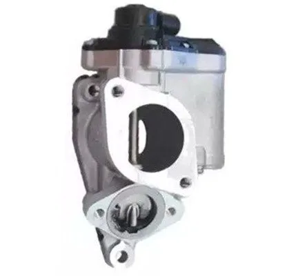 Agr-Szelep - MAGNETI MARELLI (EV140)