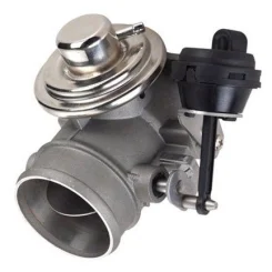 Agr-Szelep - MAGNETI MARELLI (EV151)