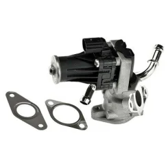 Agr-Szelep - MAGNETI MARELLI (EV063)