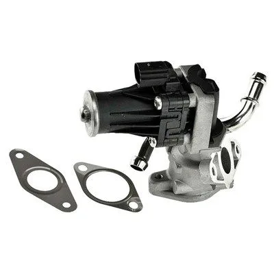 Agr-Szelep - MAGNETI MARELLI (EV063)