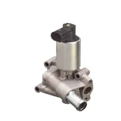 Agr-Szelep - MAGNETI MARELLI (EV066)