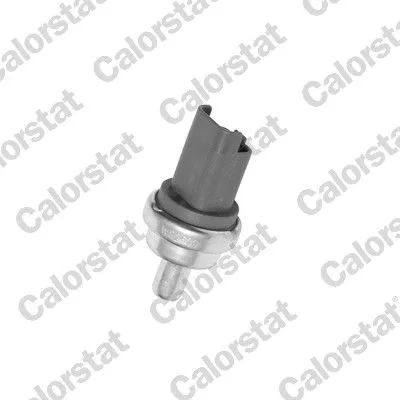 CALORSTAT by Vernet (WS2609)