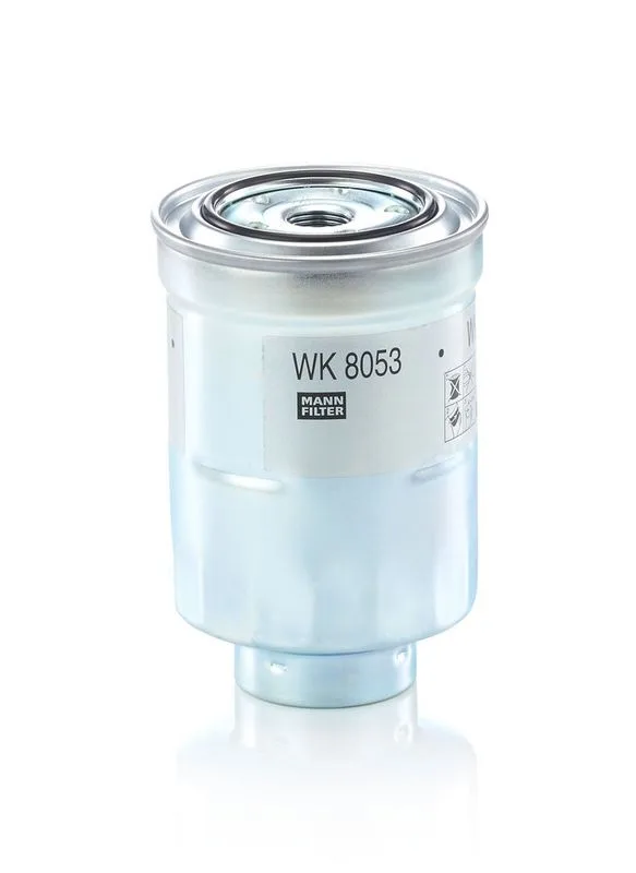 MANN-FILTER (WK8053Z)
