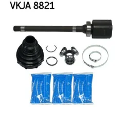 SKF (VKJA8821)