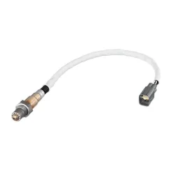 BOSCH (0258006695)