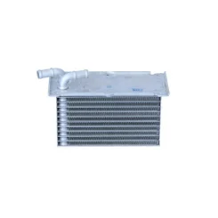 NRF (NRF30292)