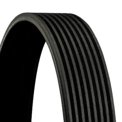 CONTINENTAL CTAM (8PK2465)