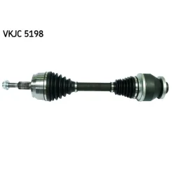 SKF (VKJC5198)
