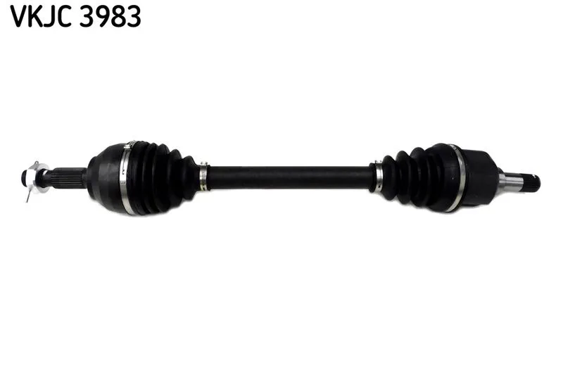 SKF (VKJC3983)