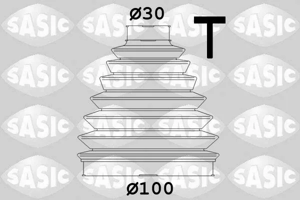 SASIC (1904016)