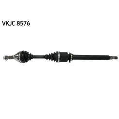 SKF (VKJC8576)
