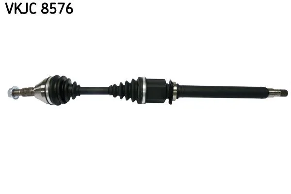 SKF (VKJC8576)