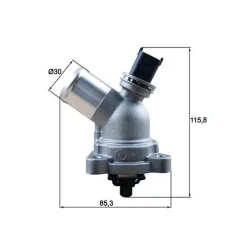 MAHLE (TM43105)