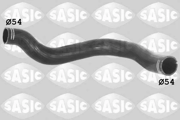 SASIC (3330011)