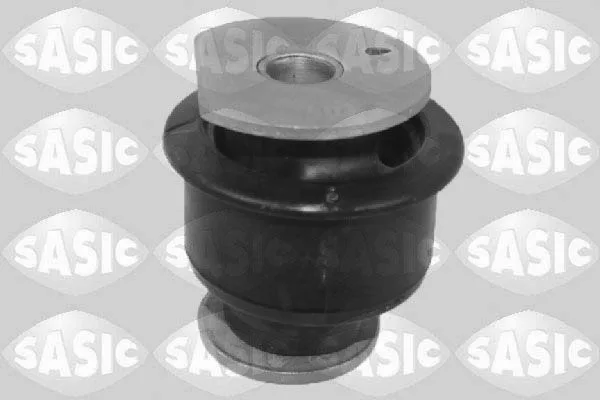 SASIC (2250031)