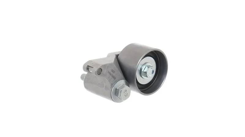 SKF (VKM79006)