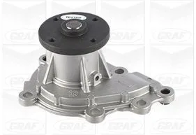 GRAF (PA1196)