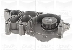 GRAF (PA1267)