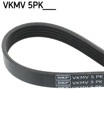 SKF (VKMV5PK1355)