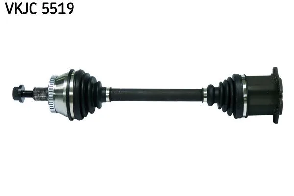 SKF (VKJC5519)