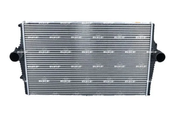 NRF (NRF30931)
