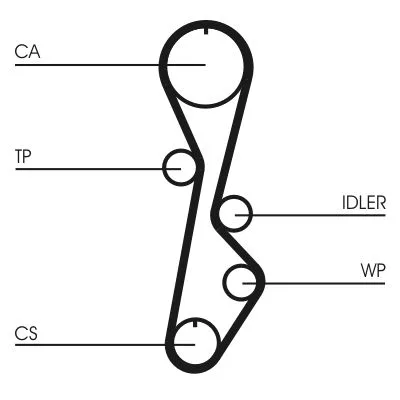 Fogasszíj - CONTINENTAL CTAM (CT774)