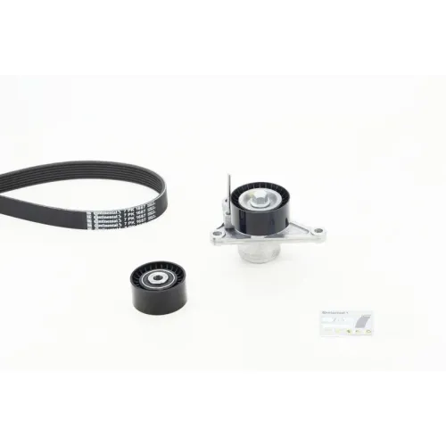 Zestaw Paska Wielorowk. Renault Master Iii 2,3Dci - CONTINENTAL CTAM (7PK1687K2)
