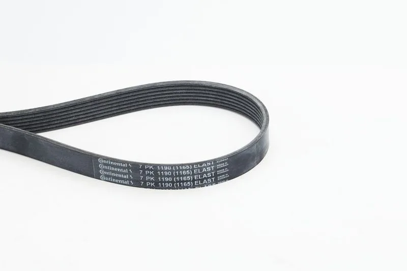 Pasek Wielorowkowy 7Pk1165 - CONTINENTAL CTAM (7PK1190ELAST)