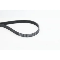 Pasek Wielorowkowy 6Pk1027 Elast Ford - CONTINENTAL CTAM (6PK1027ELAST)