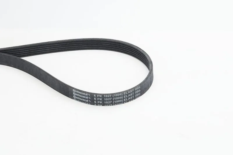 Pasek Wielorowkowy 6Pk1027 Elast Ford - CONTINENTAL CTAM (6PK1027ELAST)