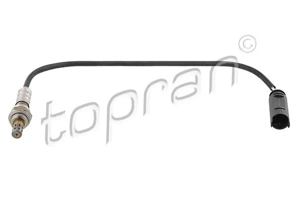 Sonda Lambda Bmw 3 E46 01- - TOPRAN (HP503 092)