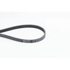 Pasek Wielorowkowy 4Pk842 Elast - CONTINENTAL CTAM (4PK842ELAST)