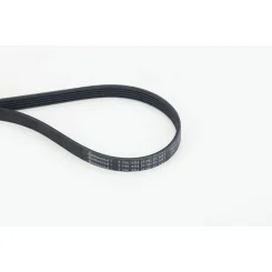 Pasek Wielorowkowy 5Pk854 Elast Renault/Nissan - CONTINENTAL CTAM (5PK854ELAST)