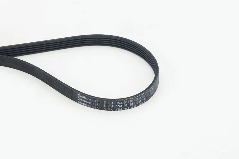 Pasek Wielorowkowy 5Pk854 Elast Renault/Nissan - CONTINENTAL CTAM (5PK854ELAST)
