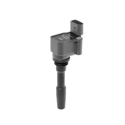 Cewka Zapłonowa Bentley Bentayga, Continental 15- - BorgWarner (BERU) (BERZSE231)