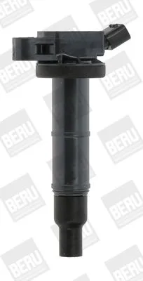 Gyújtótekercs - BorgWarner (BERU) (BERZSE171)