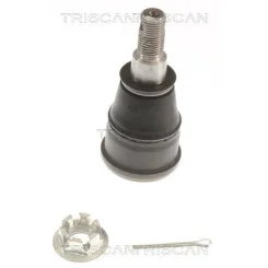 Támasztó-/Vezetőcsukló - TRISCAN (850040593)
