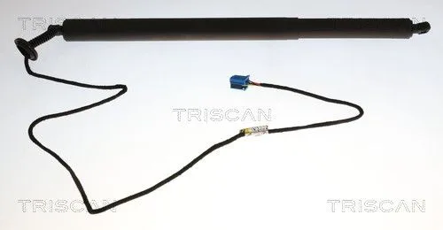 Gázrugó, Csomag-/Poggyásztér Db Gla, Eqa 02.20- Jobb - TRISCAN (871023321)