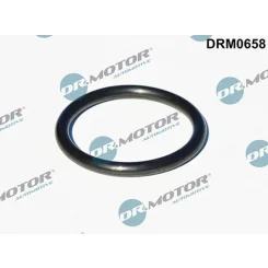 Tömítés, Turbina Bevezetés (Töltő) - DRM (DRM0658)