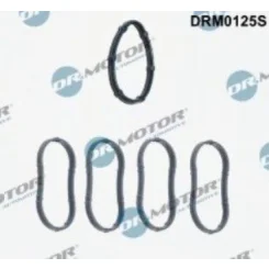Tömítéskészlet, Szívókönyök - DRM (DRM0125S)