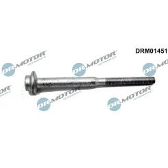 Csavar, Befecskendező Fúvóka Tartó - DRM (DRM01451)