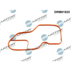 Tömítés, Termosztátház - DRM (DRM01825)