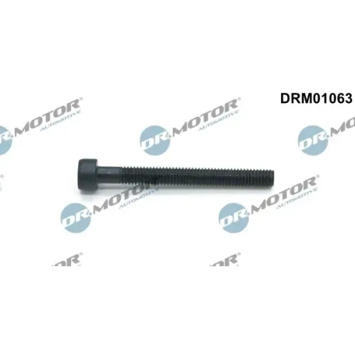 Csavar, Befecskendező Fúvóka Tartó - DRM (DRM01063)